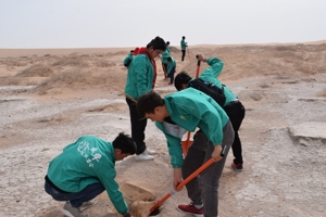 车辆工程系组织开展植树活动