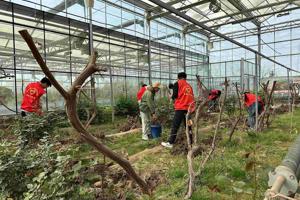 清明耕读正当时—农机与汽车学院 学子田间课堂书写青春答卷