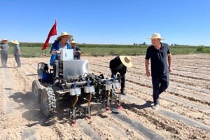 新突破！气吸式蔬菜精量播种机成功研制