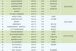 2026年招生专业